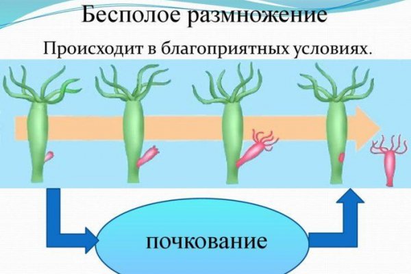 Как зайти на кракен